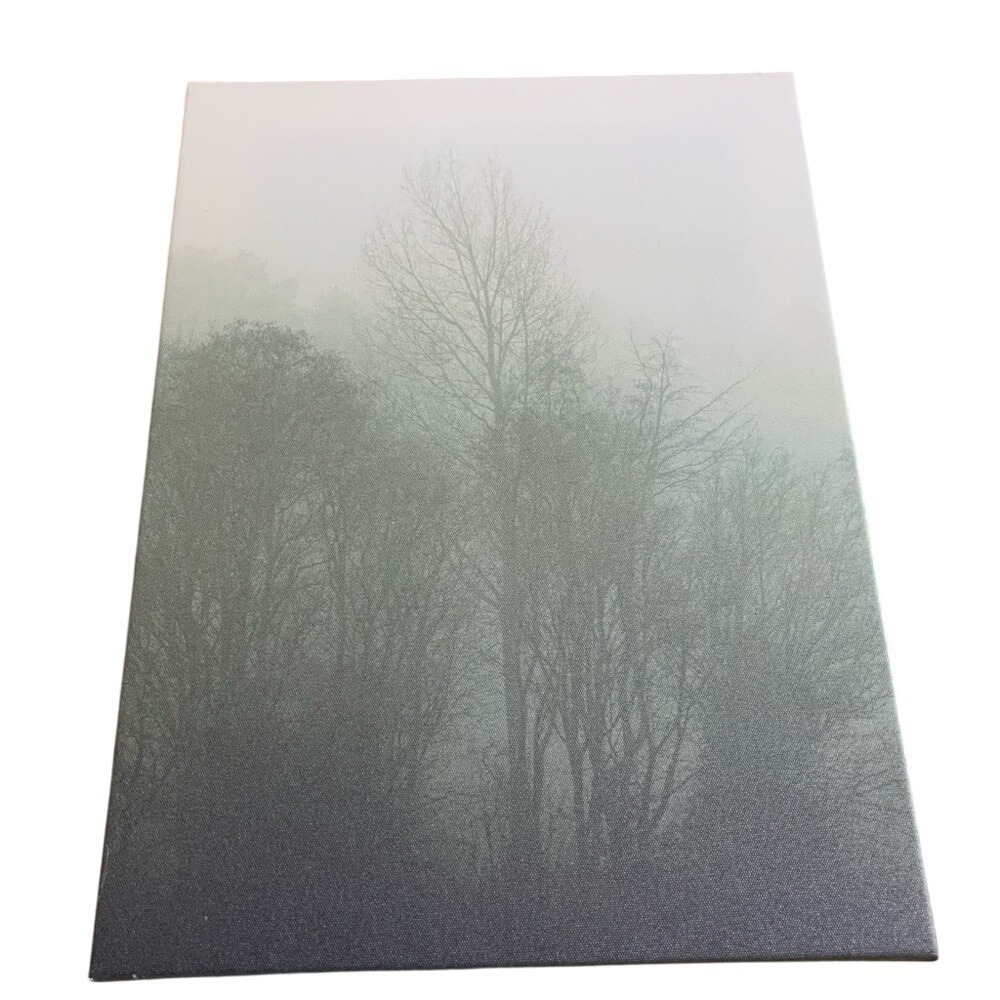 Misty Forest Canvas Art -‎ Gray 9½x12⅝"